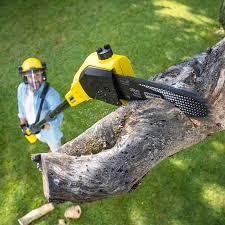 Best Lawn Maintenance Plans  in Woodbury, NJ